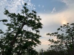 -芒洲湿地公园