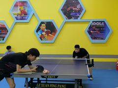 -乐旋乒乓球(广州西湾路店)