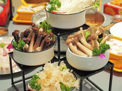 -椰小鸡·琼州糟粕醋·火锅(美兰缤纷城店)