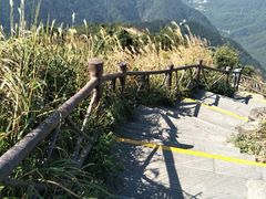 -银瓶嘴森林公园