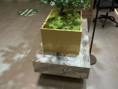 -通透堂中医·精准推拿(旗舰店)