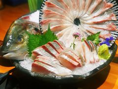 池鱼王刺身-深蓝金枪·深海鱼刺身(吉大店)