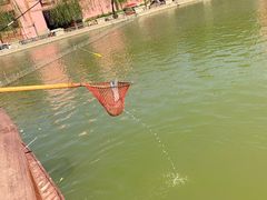 -静之湖湖畔餐厅