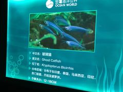 -常州海昌海洋探索馆