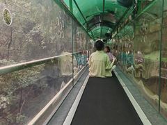 -灵栖洞天