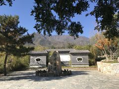 -阳台山自然风景区