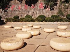 -长虫山生态公园风景林