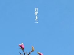 -北京明城墙遗址公园
