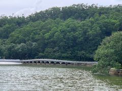 -深圳仙湖植物园