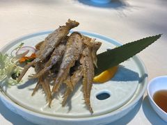 -宝燕壹号(徐汇店)