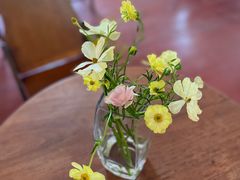 -春风十里咖啡馆