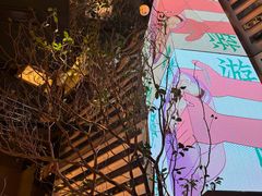 -桂满陇·海市蜃楼·黑金(国金店)