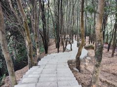 -火炉山森林公园