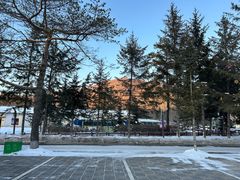 -横道河子东北虎林园