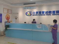 -北京观赏动物医院·24小时大型综合·猫专科·异宠专科