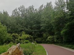 -镇江市南山风景名胜区竹林景区