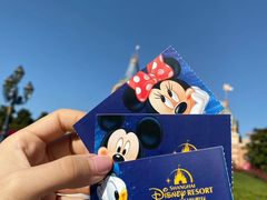 -上海迪士尼度假区