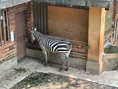 -昆明动物园