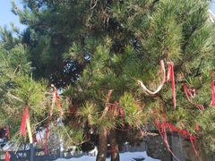 -终南山南五台景区