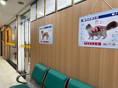 -米苏动物医院·犬猫专科·骨科外科内窥镜