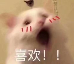 -柒朵科技美肤中心