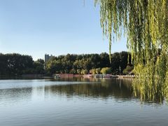 -二一九公园