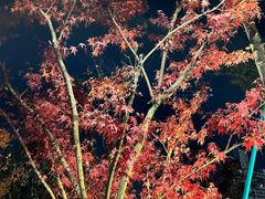 -宁波儿童公园(鄞州区)