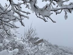 -蟠龙山长城景区