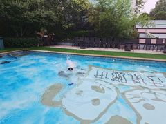 -汪说喵讲宠物乐园宠物酒店(红星美凯龙店)