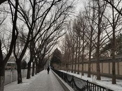 -东丽温泉羽毛球