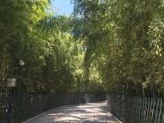 -红螺寺