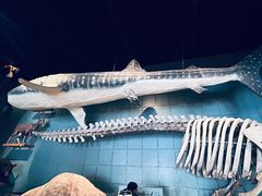 -浙江自然博物院(杭州馆)