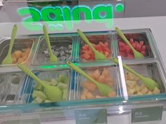 -Salud撒露欧洲冻酸奶(五道口购物中心店)