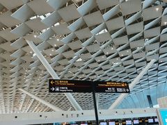 -郑州新郑国际机场-T2航站楼