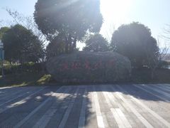 -长兴太湖图影湿地文化园