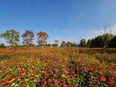 -同里国家湿地公园