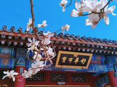 -颐和园