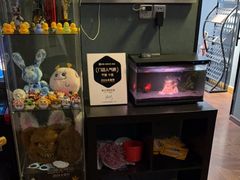 -星空密室·精选(天一豪景店)