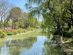 -昆山城市生态森林公园