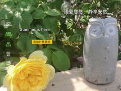 -小时光咖啡馆(北锣鼓巷店)