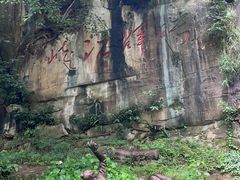 -铁山坪森林公园