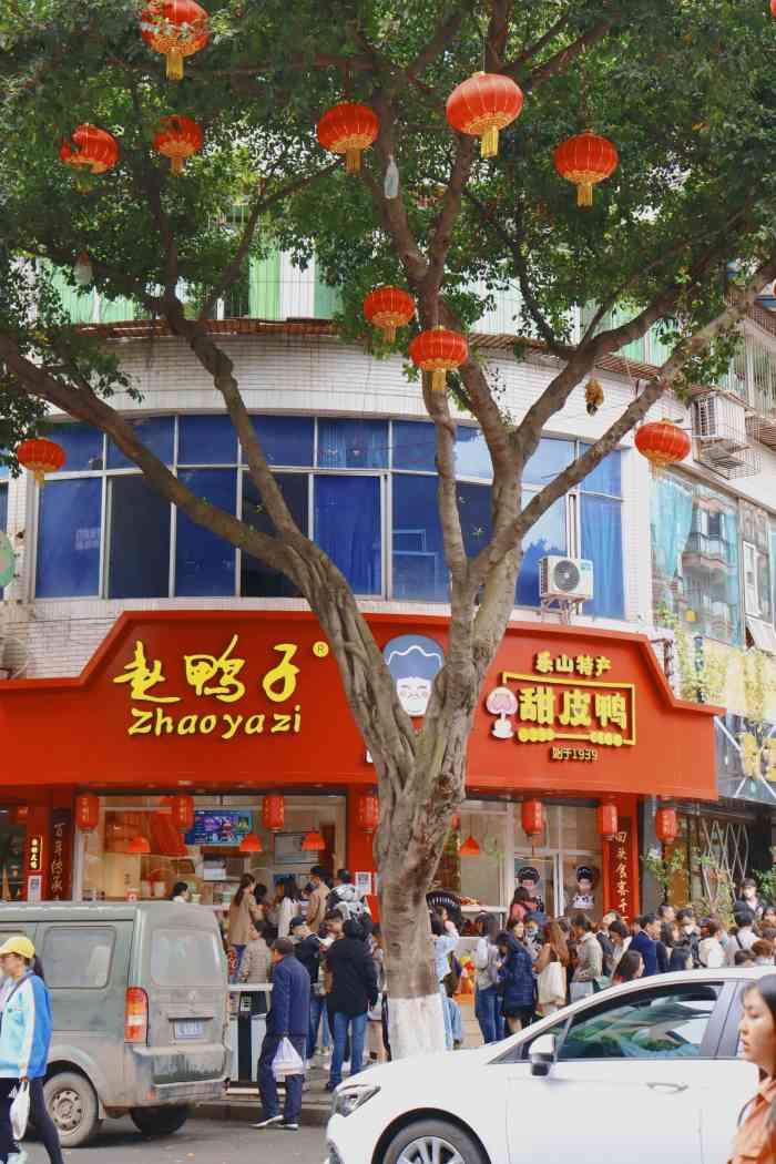 赵鸭子甜皮鸭·非物质文化遗产(新村总店)-"在乐山的最后一天,想要买