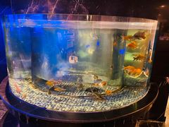 -王家渡火锅店(亦庄店)