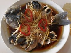 -煲来饱去冷水鱼