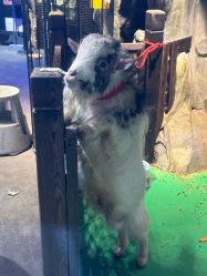 -酷嗒动物文化乐园(cutezoo西溪乐天城店)