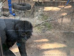 -昆明动物园
