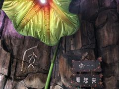 -正佳雨林生态植物园
