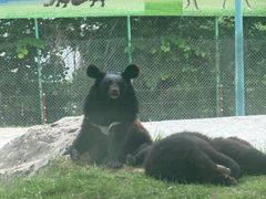 -栾川竹海野生动物园