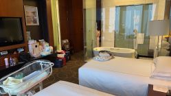 -大美母婴月子专护中心(紫峰店)