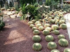 -龙达温泉生态城